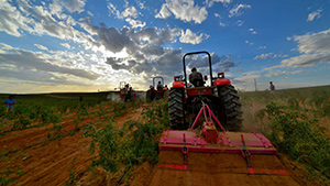 企業管治新典範