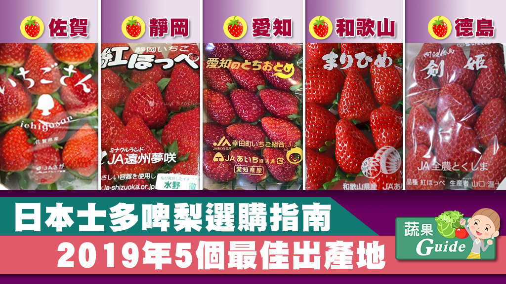 迎春接福「豬」事吉