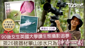 TOPick DSE 升學攻略2020