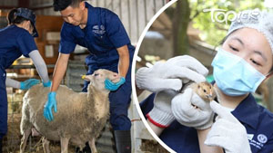 TOPick DSE 升學攻略2020