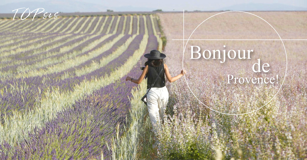 人在法國 法式生活實錄